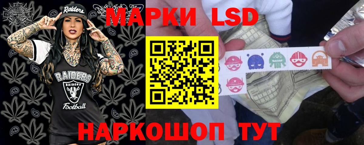 Бошки Шишки Нижний Новгород