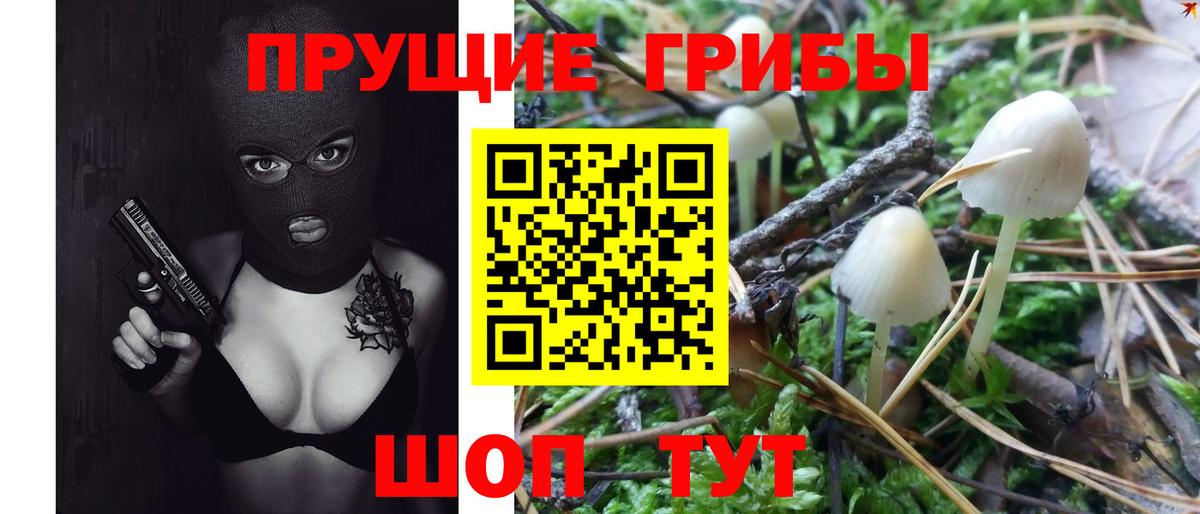 Нижний Новгород  Псилоцибиновые грибы GOLDEN TEACHER  Вход с VPN 